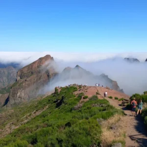 Holiday Program, Madeira, Idegen vezetés, Magyarúl, Program, Túra, Buszos kirándulás, Nyaralás, hajó kirándulás, programok vízem, földön és levegőben