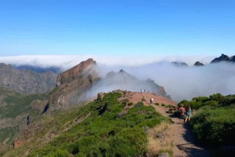 Holiday Program, Madeira, Idegen vezetés, Magyarúl, Program, Túra, Buszos kirándulás, Nyaralás, hajó kirándulás, programok vízem, földön és levegőben