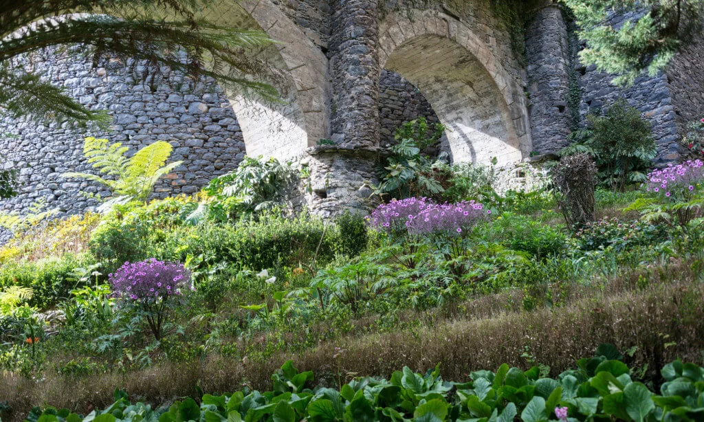 Holiday Program, Madeira, Idegen vezetés, Magyarúl, Program, Túra, Buszos kirándulás, Nyaralás, hajó kirándulás, programok vízem, földön és levegőben