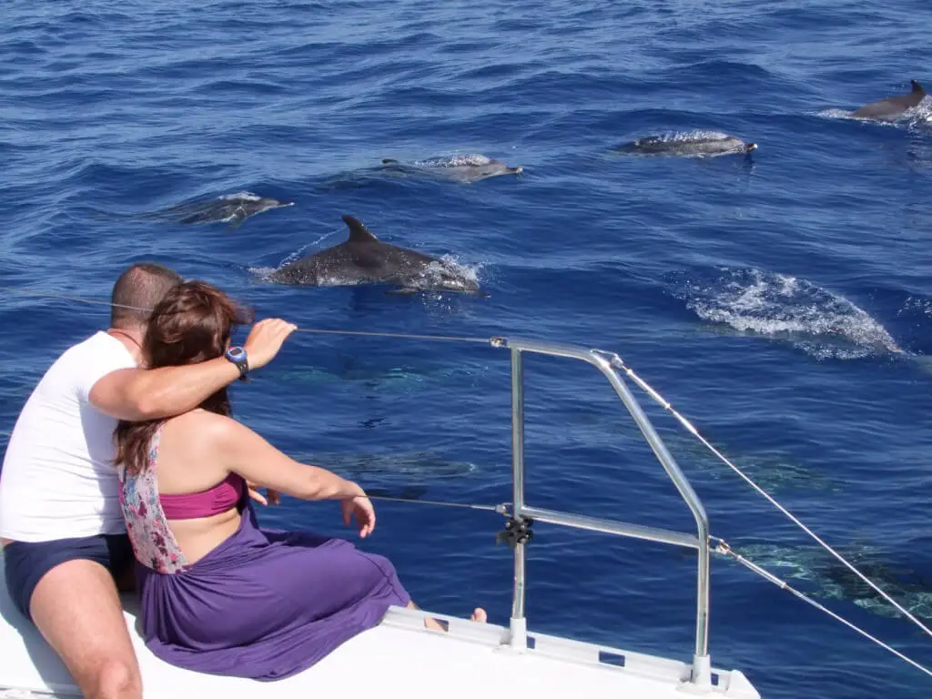 Holiday Program, Fuerteventura, Idegen vezetés, Magyarúl, Program, Túra, Buszos kirándulás, Nyaralás, hajó kirándulás, programok vizen, földön és levegőben