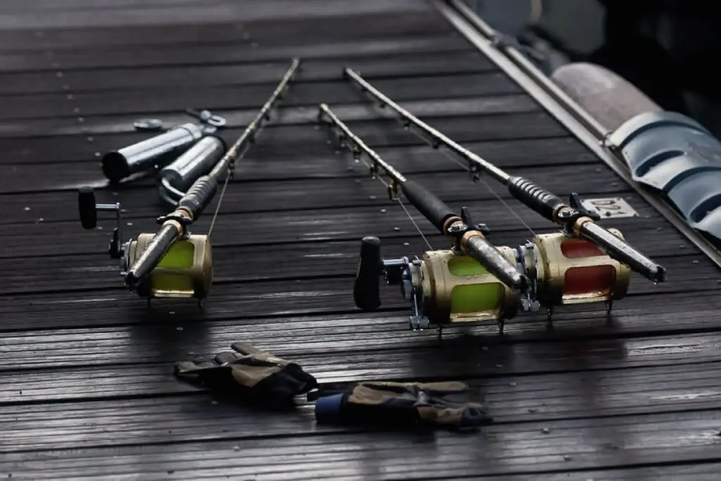 Holiday Program, Fuerteventura, Idegen vezetés, Magyarúl, Program, Túra, Buszos kirándulás, Nyaralás, hajó kirándulás, programok vizen, földön és levegőben