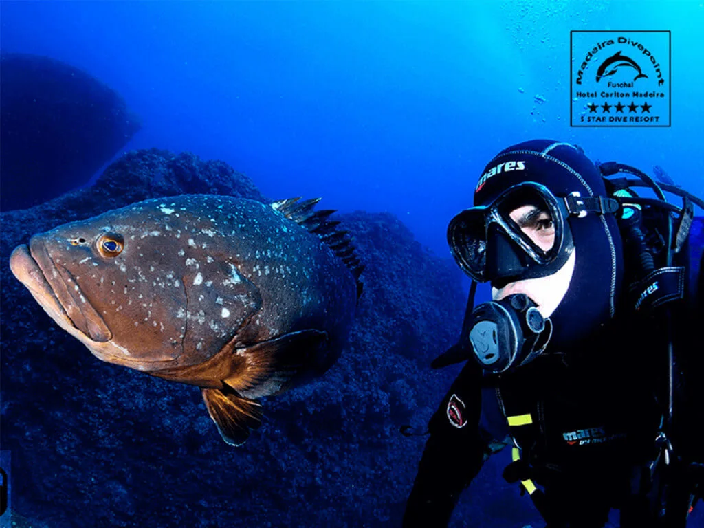Holiday Program, Madeira, Idegen vezetés, Magyarul, Program, Túra, Buszos kirándulás, Nyaralás, hajó kirándulás, programok vizen, földön és levegőben