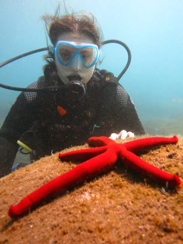 Holiday Program, Madeira, Idegen vezetés, Magyarul, Program, Túra, Buszos kirándulás, Nyaralás, hajó kirándulás, programok vizen, földön és levegőben