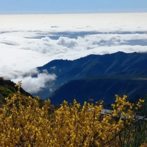 Holiday Program, Madeira, Idegen vezetés, Magyarul, Program, Túra, Buszos kirándulás, Nyaralás, hajó kirándulás, programok vizen, földön és levegőben
