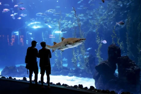 Holiday Program, Gran Canaria, Idegen vezetés, Magyarúl, Program, Túra, Buszos kirándulás, Nyaralás, Kanári szigetek