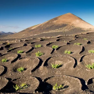Holiday Program, Lanzarote, Kanári szigetek, Idegen vezetés, Magyarúl, Program, Túra, Buszos kirándulás, Nyaralás, hajó kirándulás, programok vízem, földön és levegőben