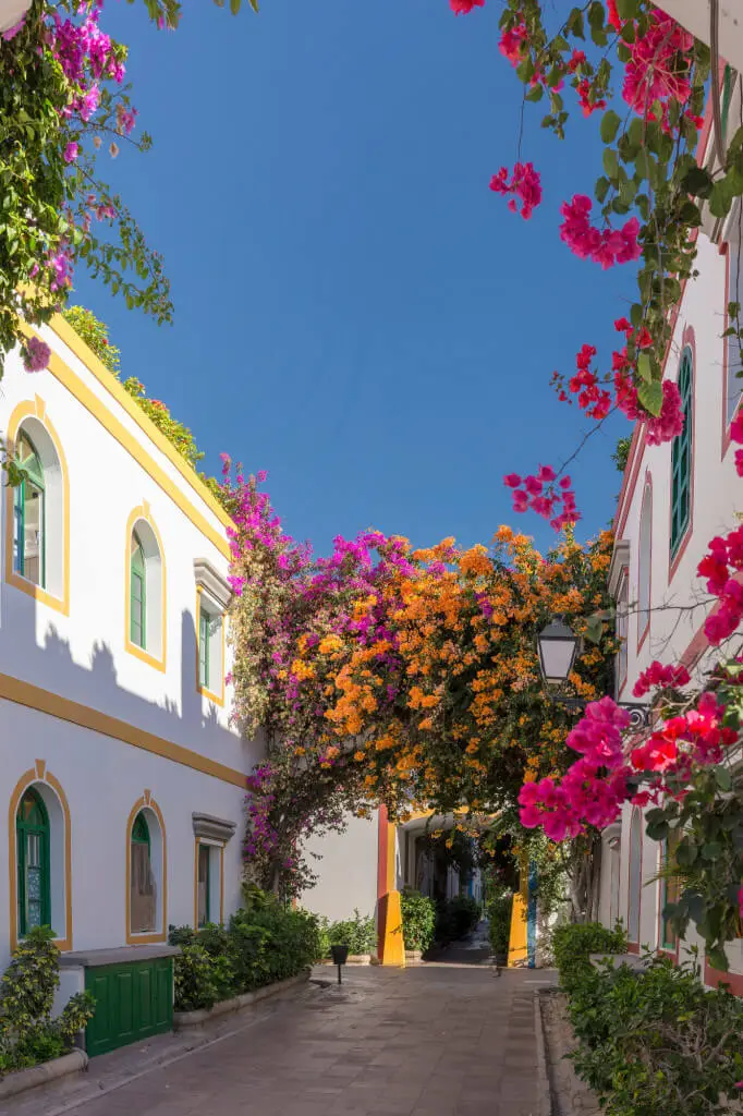 Holiday Program, Gran Canaria, Idegen vezetés, Magyarúl, Program, Túra, Buszos kirándulás, Nyaralás, Kanári szigetek