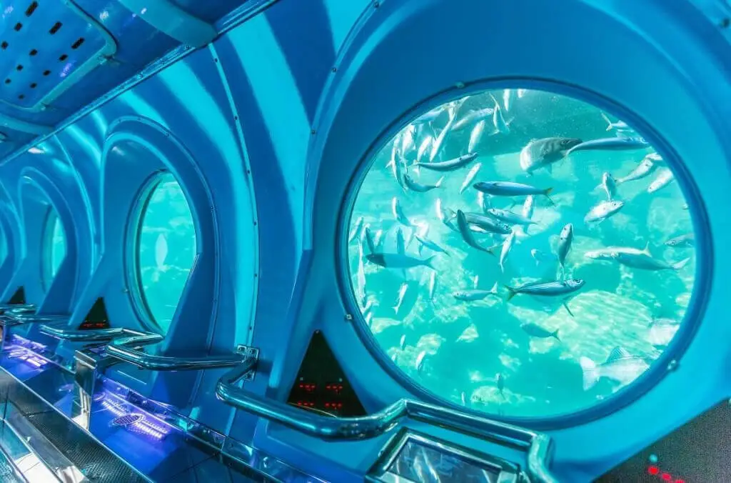 Holiday Program, Lanzarote, Kanári szigetek, Idegen vezetés, Magyarúl, Program, Túra, Buszos kirándulás, Nyaralás, hajó kirándulás, programok vízem, földön és levegőben