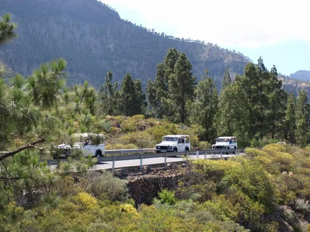 Holiday Program, Gran Canaria, Idegen vezetés, Magyarúl, Program, Túra, Buszos kirándulás, Nyaralás, Kanári szigetek