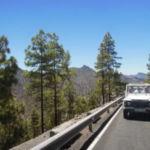 Holiday Program, Gran Canaria, Idegen vezetés, Magyarúl, Program, Túra, Buszos kirándulás, Nyaralás, Kanári szigetek