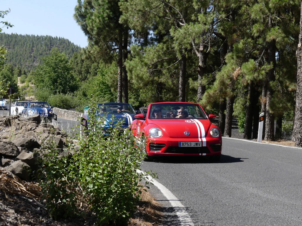 Holiday Program, Gran Canaria, Idegen vezetés, Magyarúl, Program, Túra, Buszos kirándulás, Nyaralás, Kanári szigetek