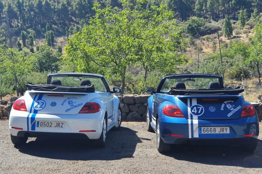 Holiday Program, Gran Canaria, Idegen vezetés, Magyarúl, Program, Túra, Buszos kirándulás, Nyaralás, Kanári szigetek