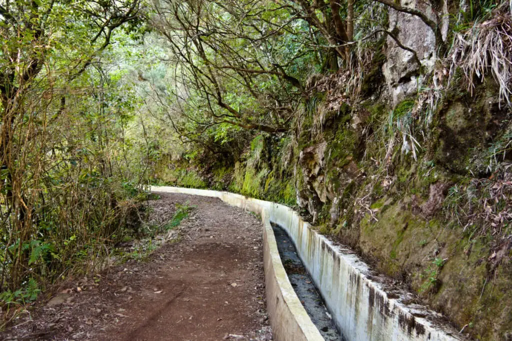 Holiday Program, Madeira, Idegen vezetés, Magyarúl, Program, Túra, Buszos kirándulás, Nyaralás, hajó kirándulás, programok vízem, földön és levegőben