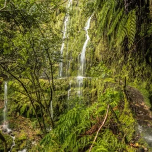 Holiday Program, Madeira, Idegen vezetés, Magyarúl, Program, Túra, Buszos kirándulás, Nyaralás, hajó kirándulás, programok vízem, földön és levegőben