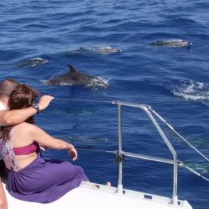 Holiday Program, Fuerteventura, Idegen vezetés, Magyarúl, Program, Túra, Buszos kirándulás, Nyaralás, hajó kirándulás, programok vizen, földön és levegőben